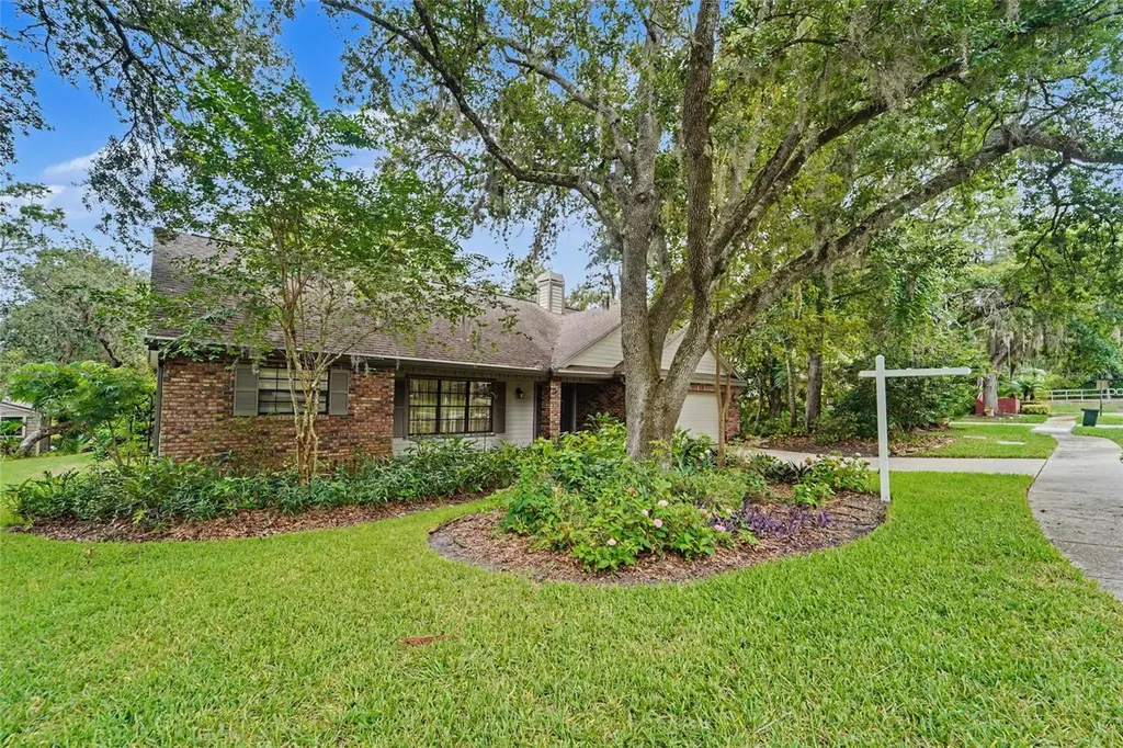 3408 Arcadia Drive Palm Harbor FL 34684