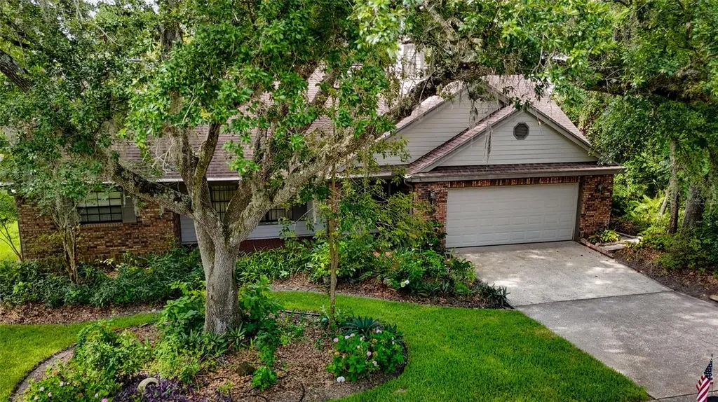 3408 Arcadia Drive Palm Harbor FL 34684