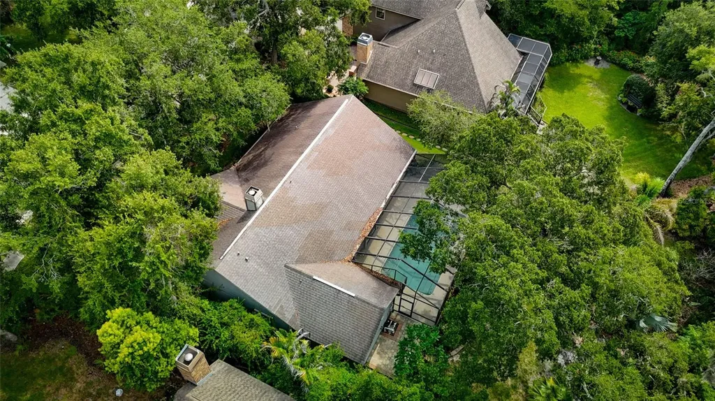 3408 Arcadia Drive Palm Harbor FL 34684