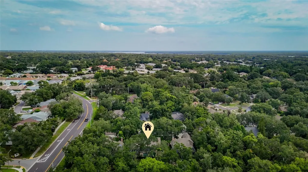 3408 Arcadia Drive Palm Harbor FL 34684