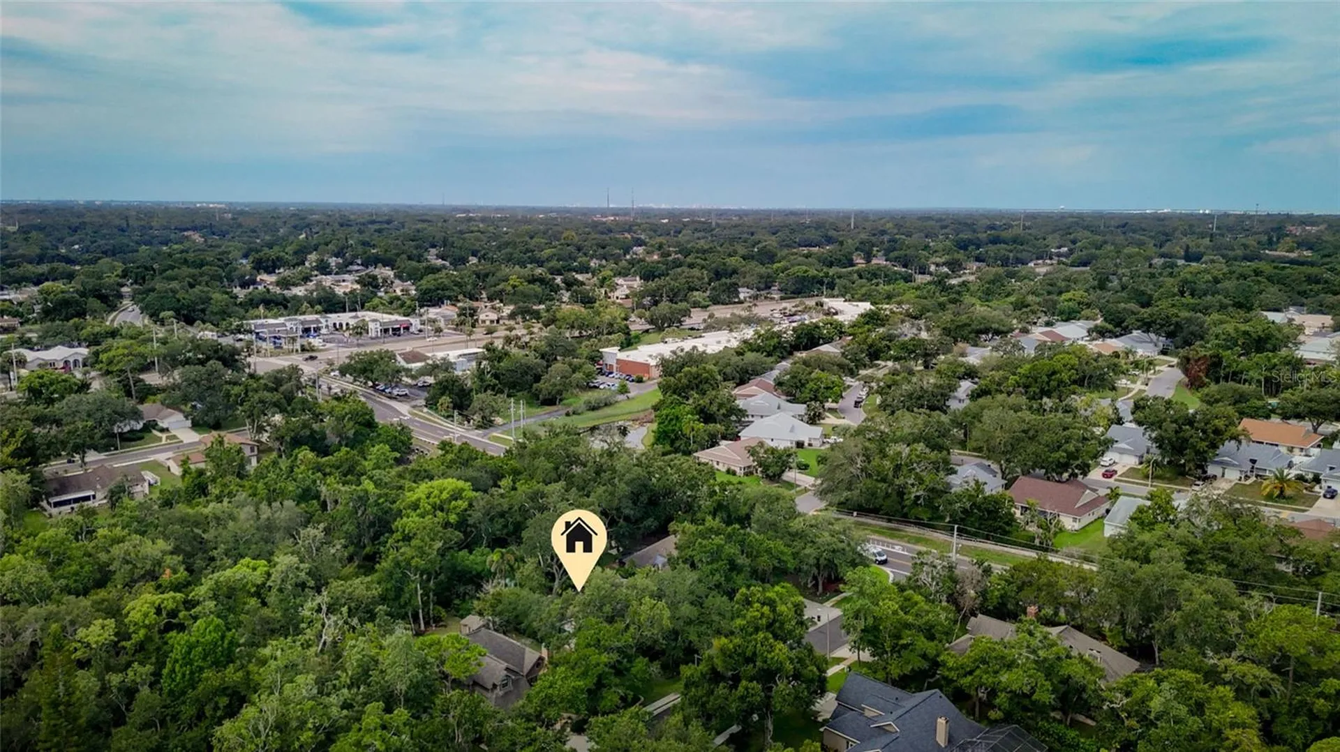 3408 Arcadia Drive Palm Harbor FL 34684
