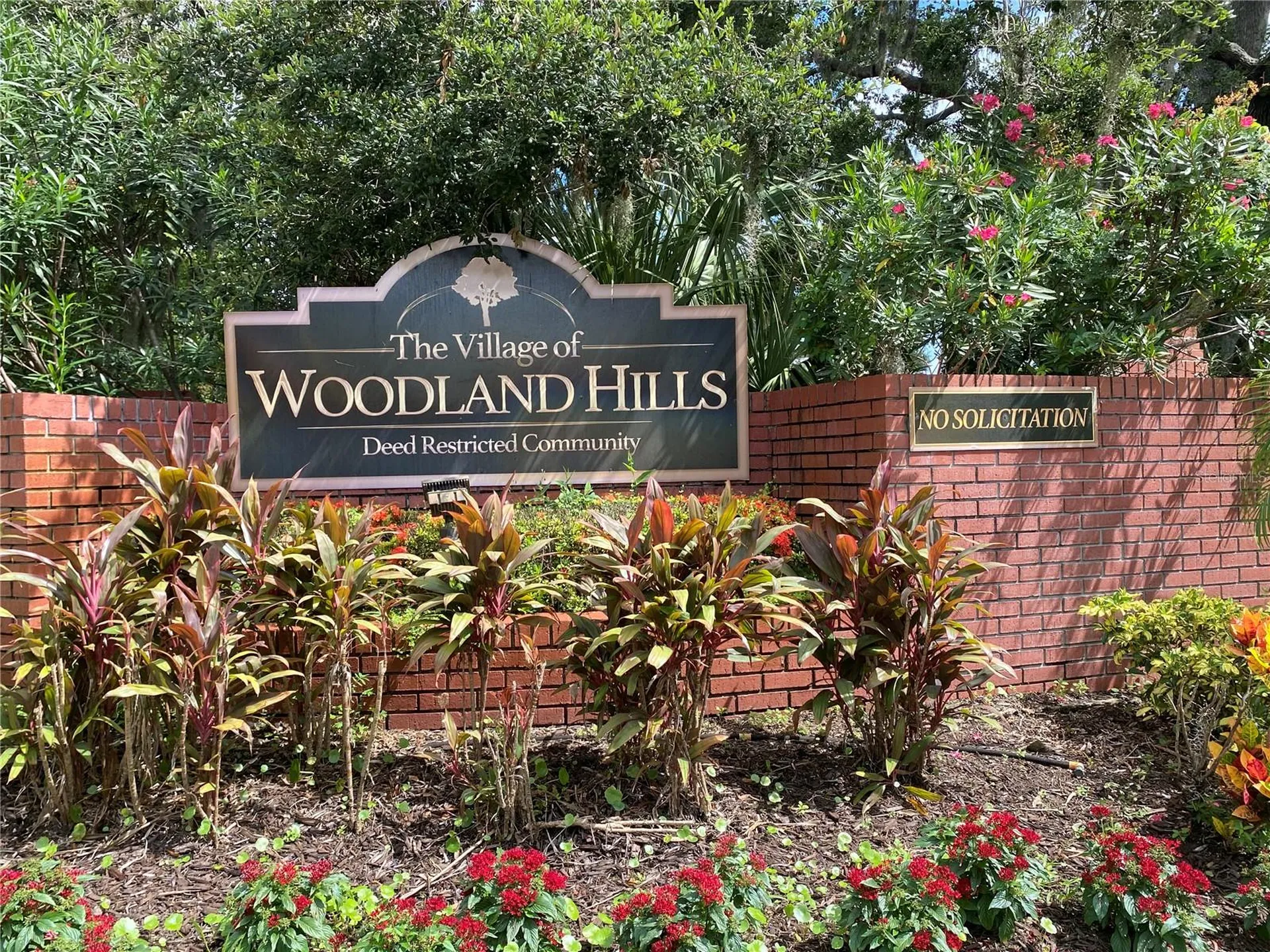 3408 Arcadia Drive Palm Harbor FL 34684