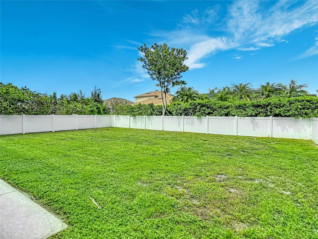10739 Eveningwood Court Trinity FL 34655