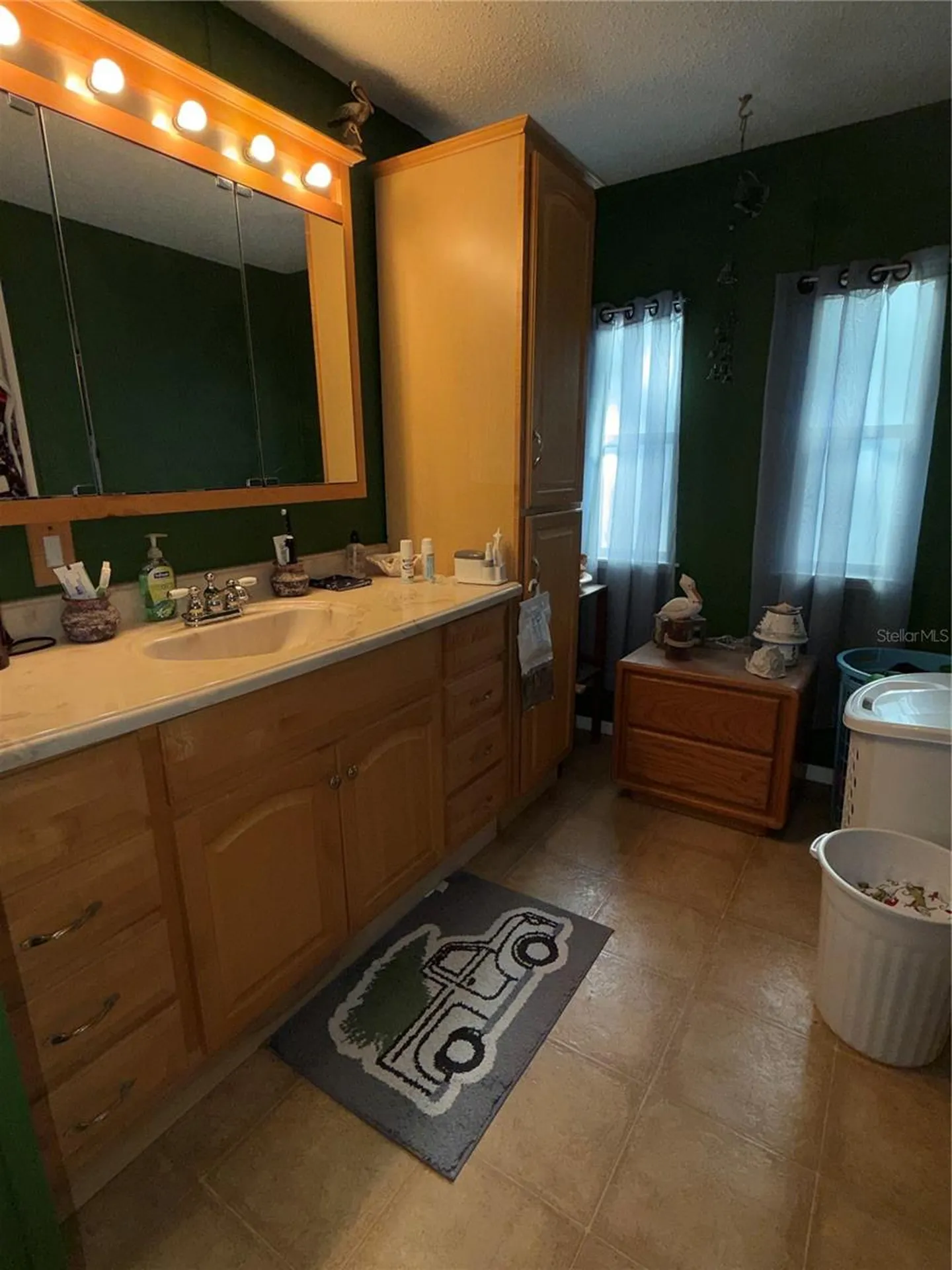 40235 Overlook Drive Eustis FL 32736