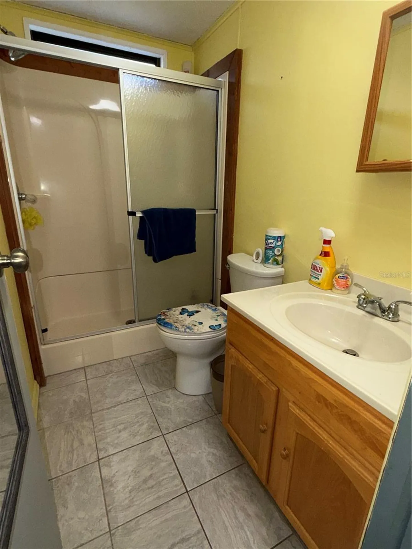 40235 Overlook Drive Eustis FL 32736