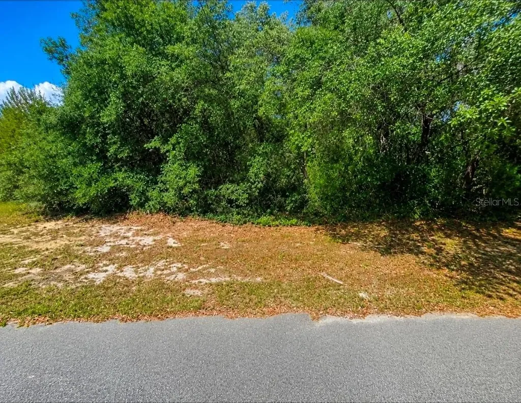 SW 164th Place Road Ocala FL 34473