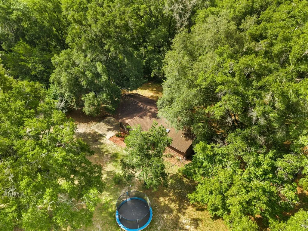 79 NW 55th Avenue Bell FL 32619
