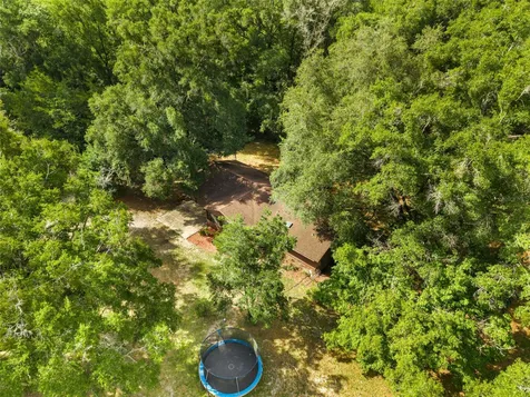 79 NW 55th Avenue Bell FL 32619