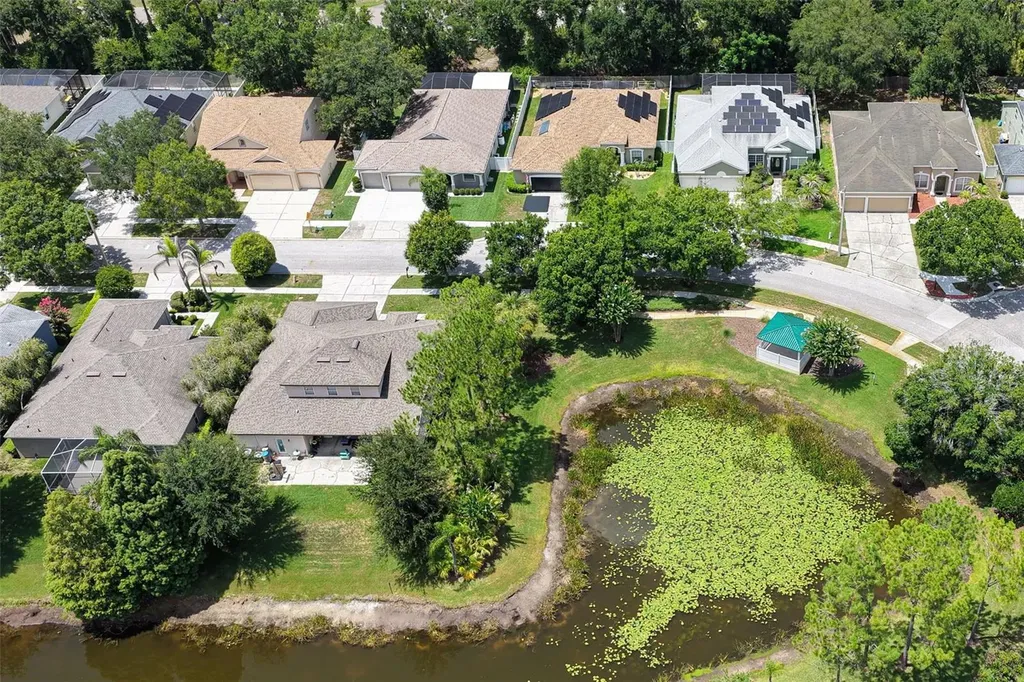 12816 Cattail Shore Lane Riverview FL 33579
