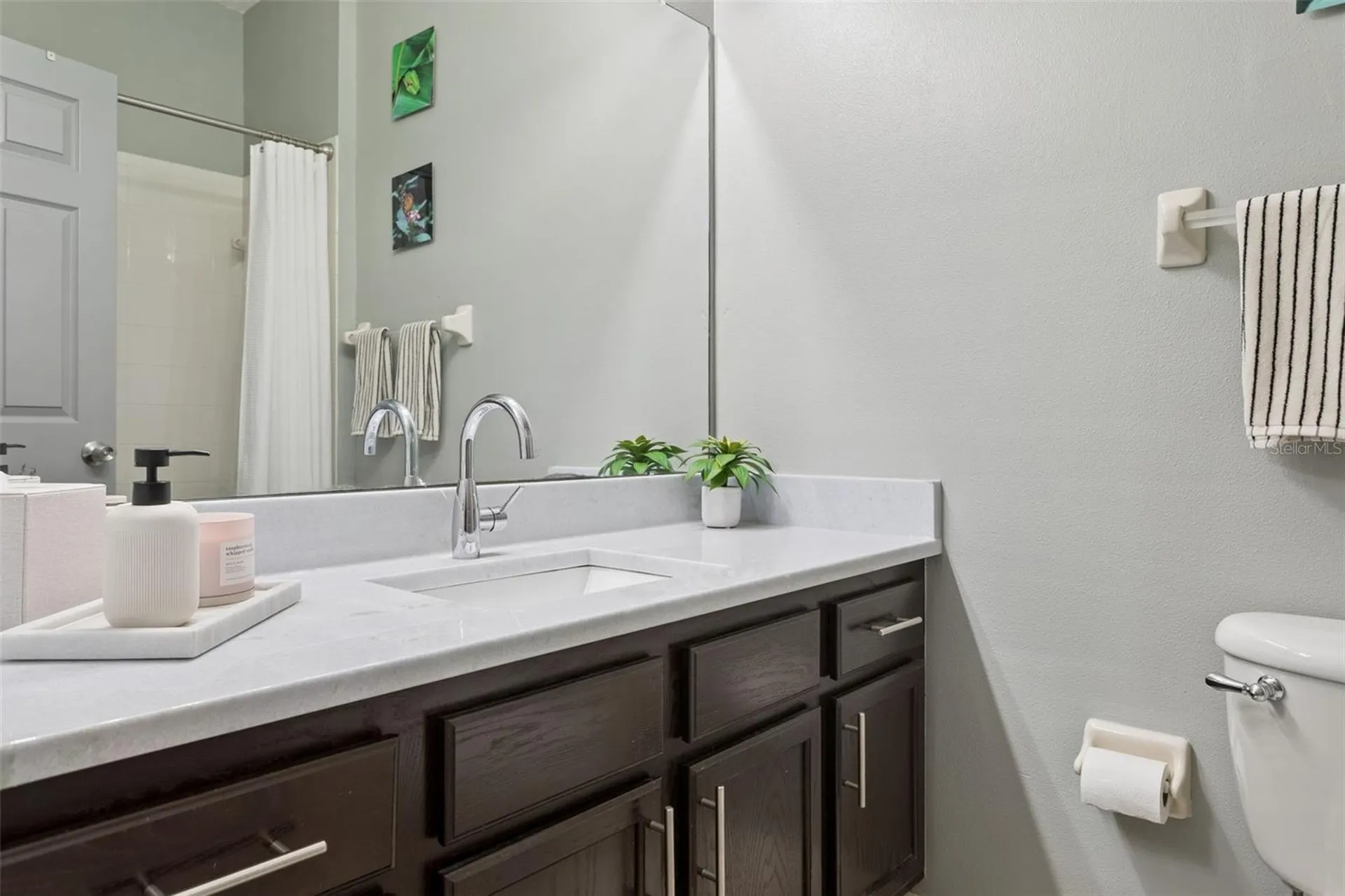12816 Cattail Shore Lane Riverview FL 33579