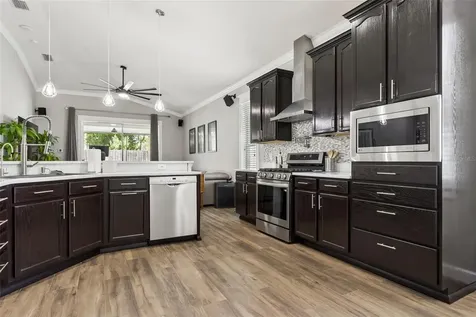 12816 Cattail Shore Lane Riverview FL 33579