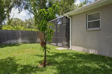 12816 Cattail Shore Lane Riverview FL 33579
