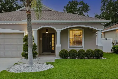 12816 Cattail Shore Lane Riverview FL 33579