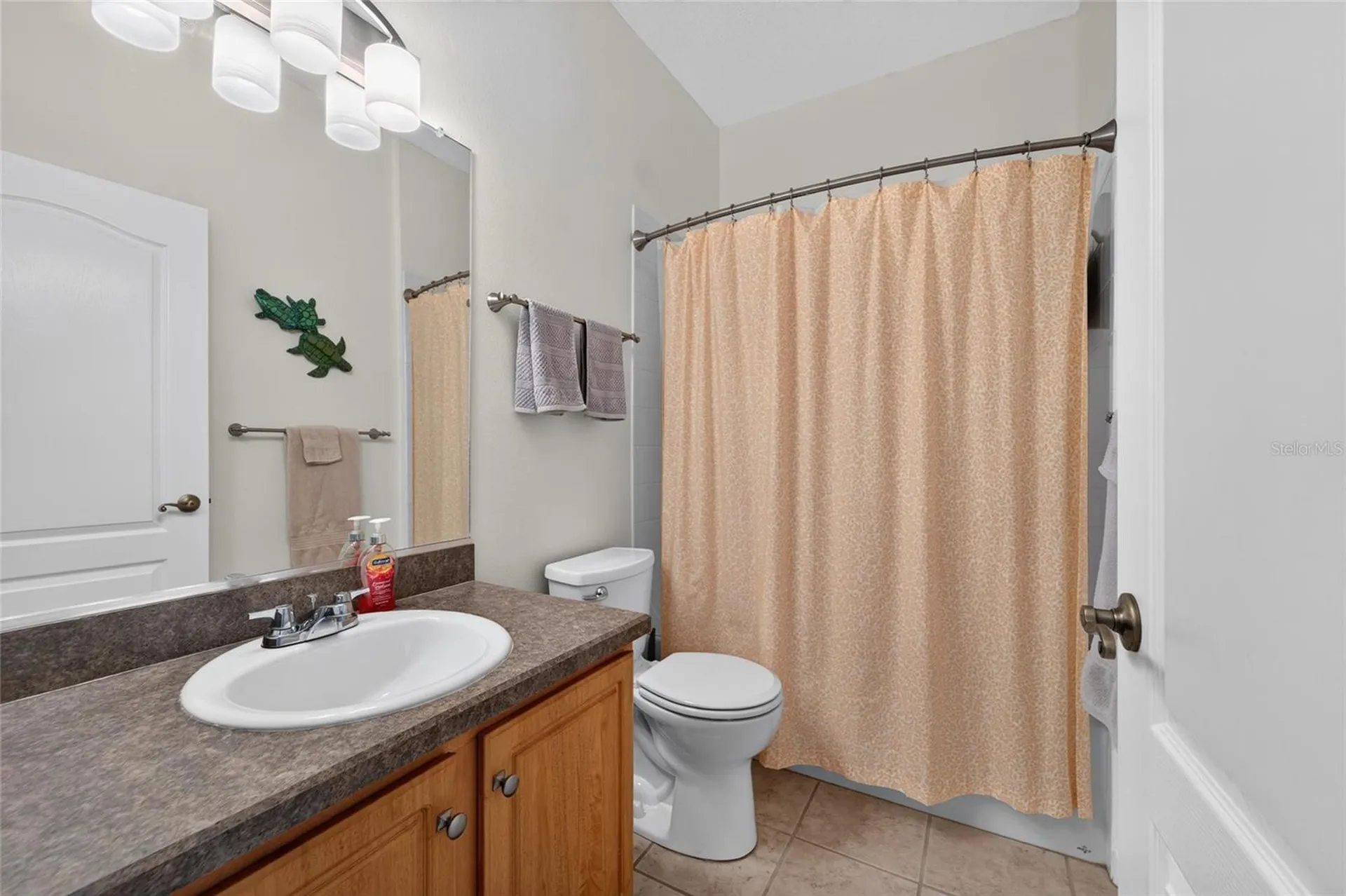 2193 Acadia Greens Drive Sun City Center FL 33573