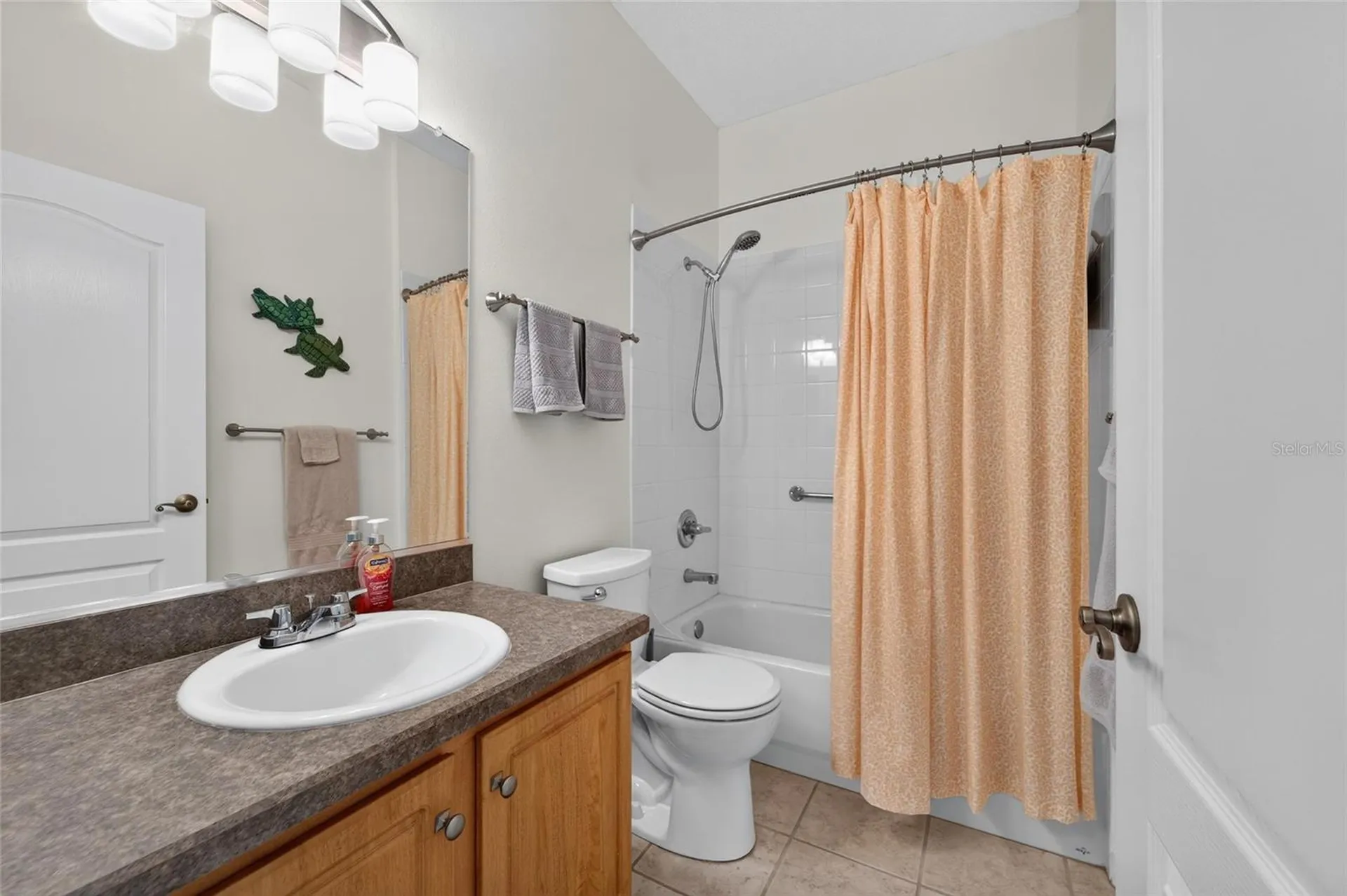 2193 Acadia Greens Drive Sun City Center FL 33573