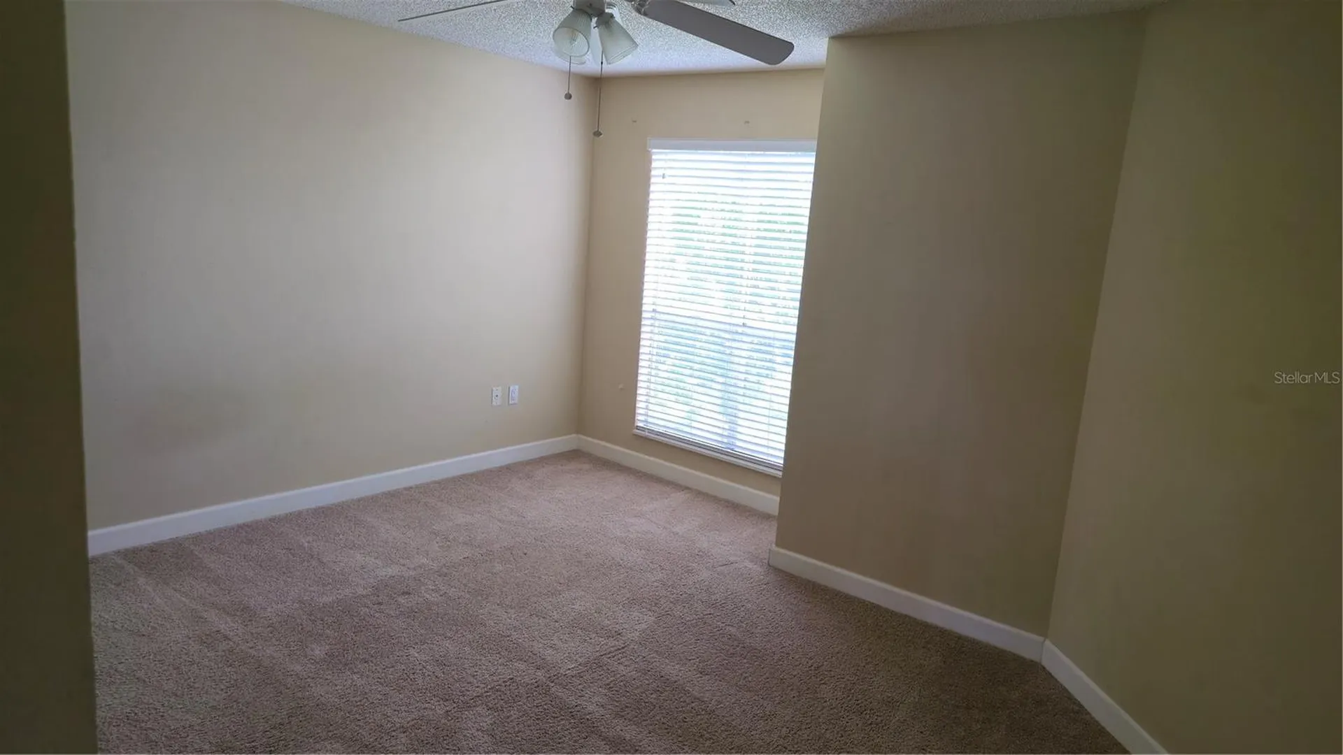 115 112th Avenue NE St Petersburg FL 33716