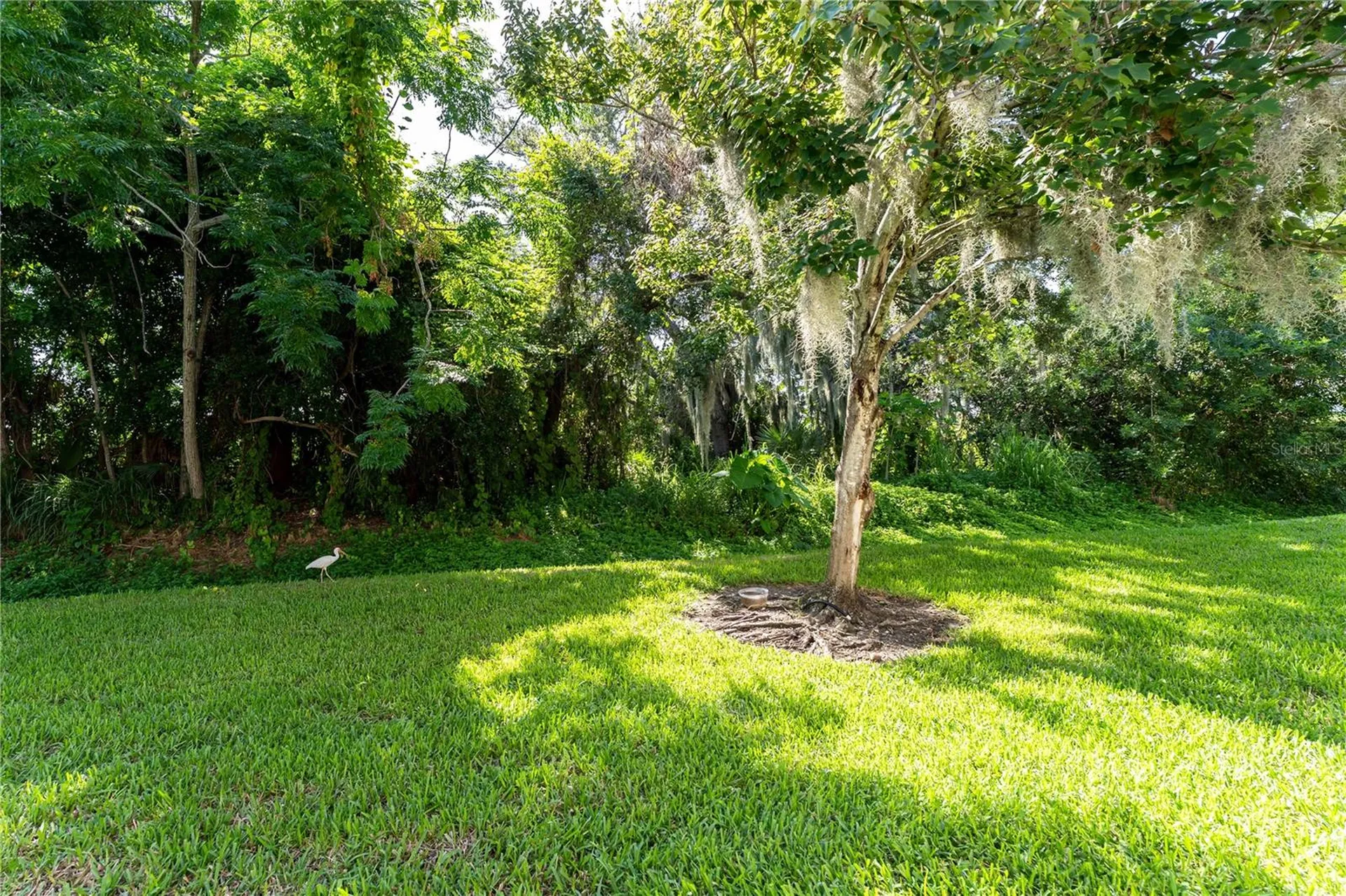 1346 Grantham Drive Sarasota FL 34234