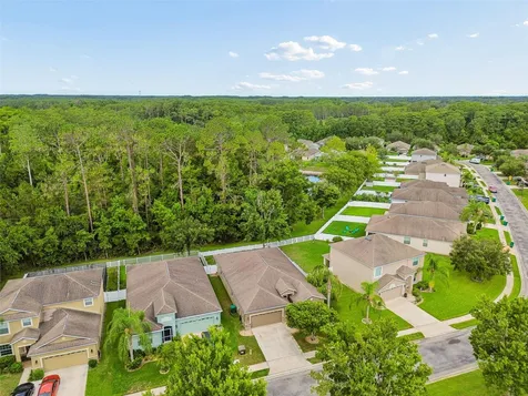12815 White Bluff Road Hudson FL 34669