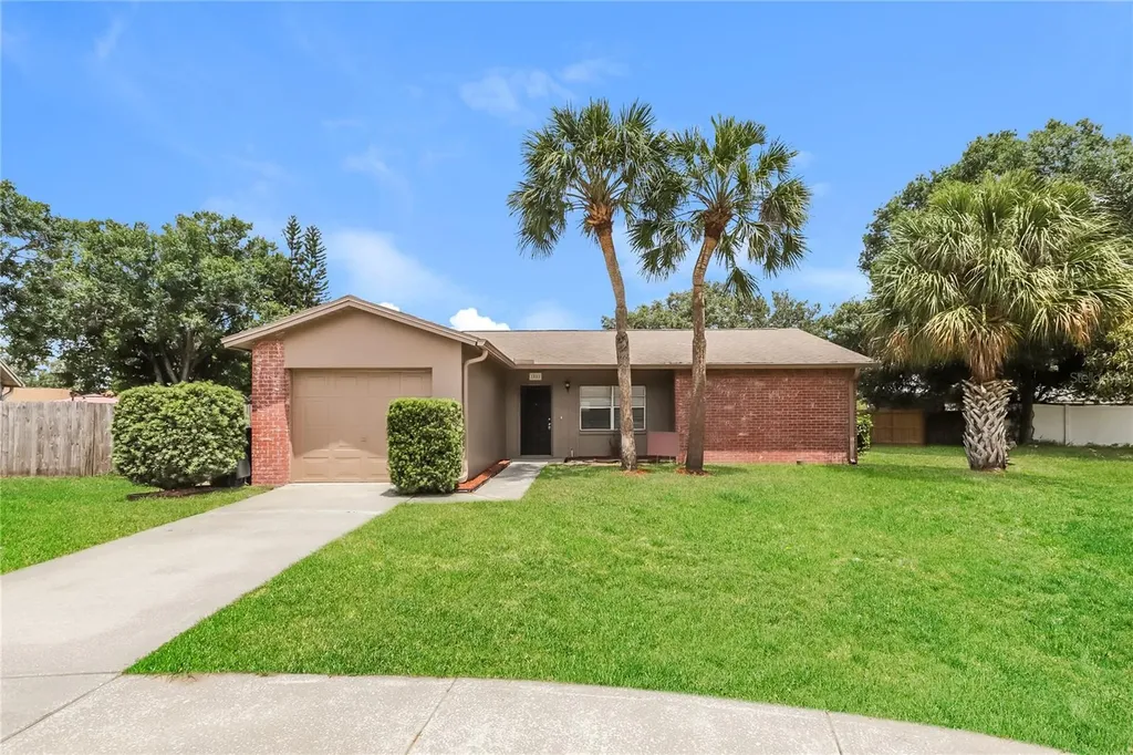 1002 Pinehaven Court Brandon FL 33511