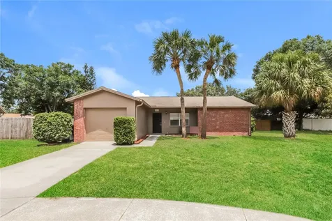 1002 Pinehaven Court Brandon FL 33511