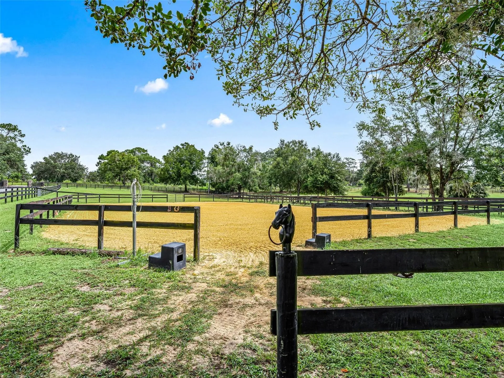 14356 SW 101st Lane Dunnellon FL 34432
