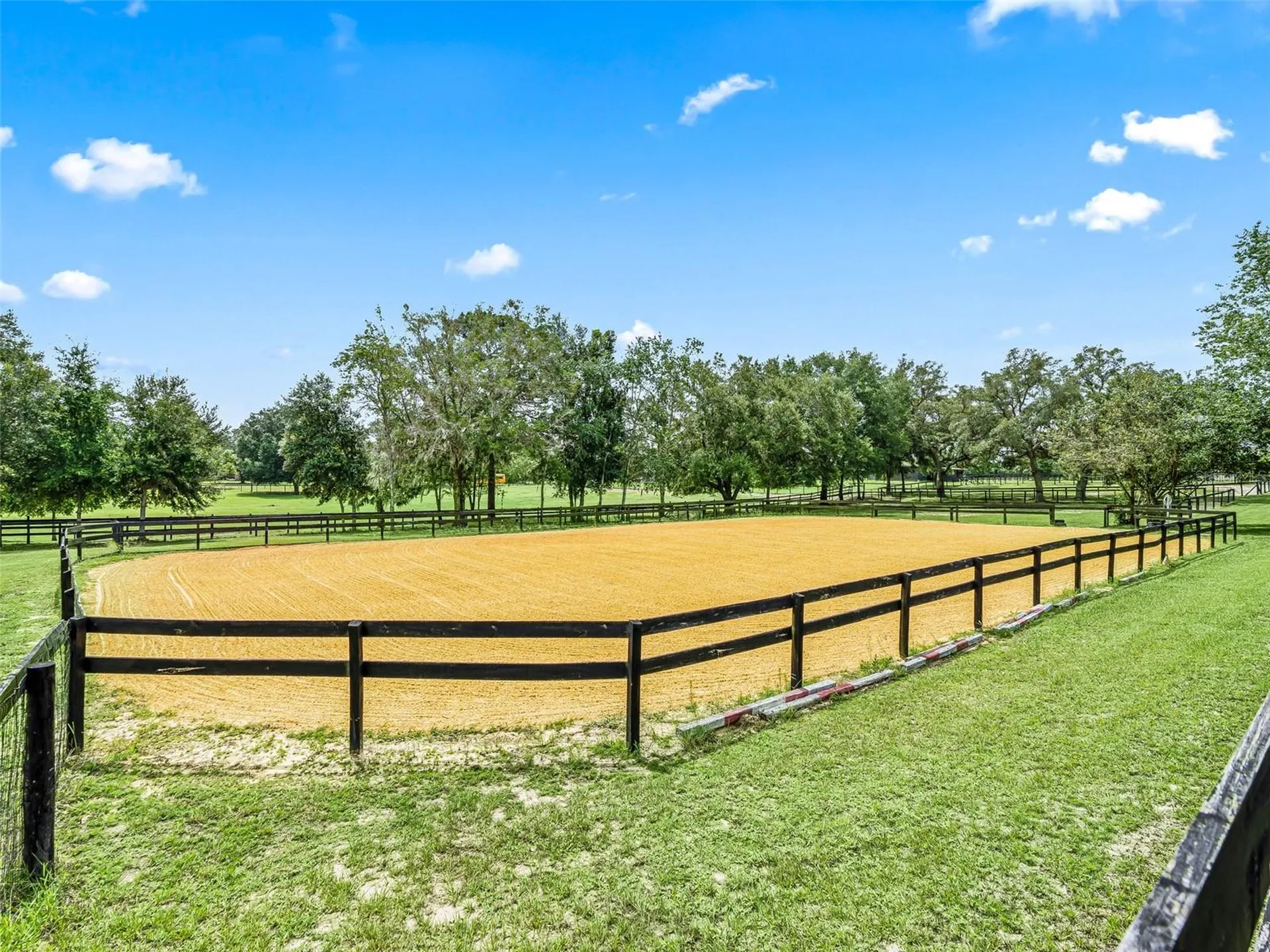 14356 SW 101st Lane Dunnellon FL 34432