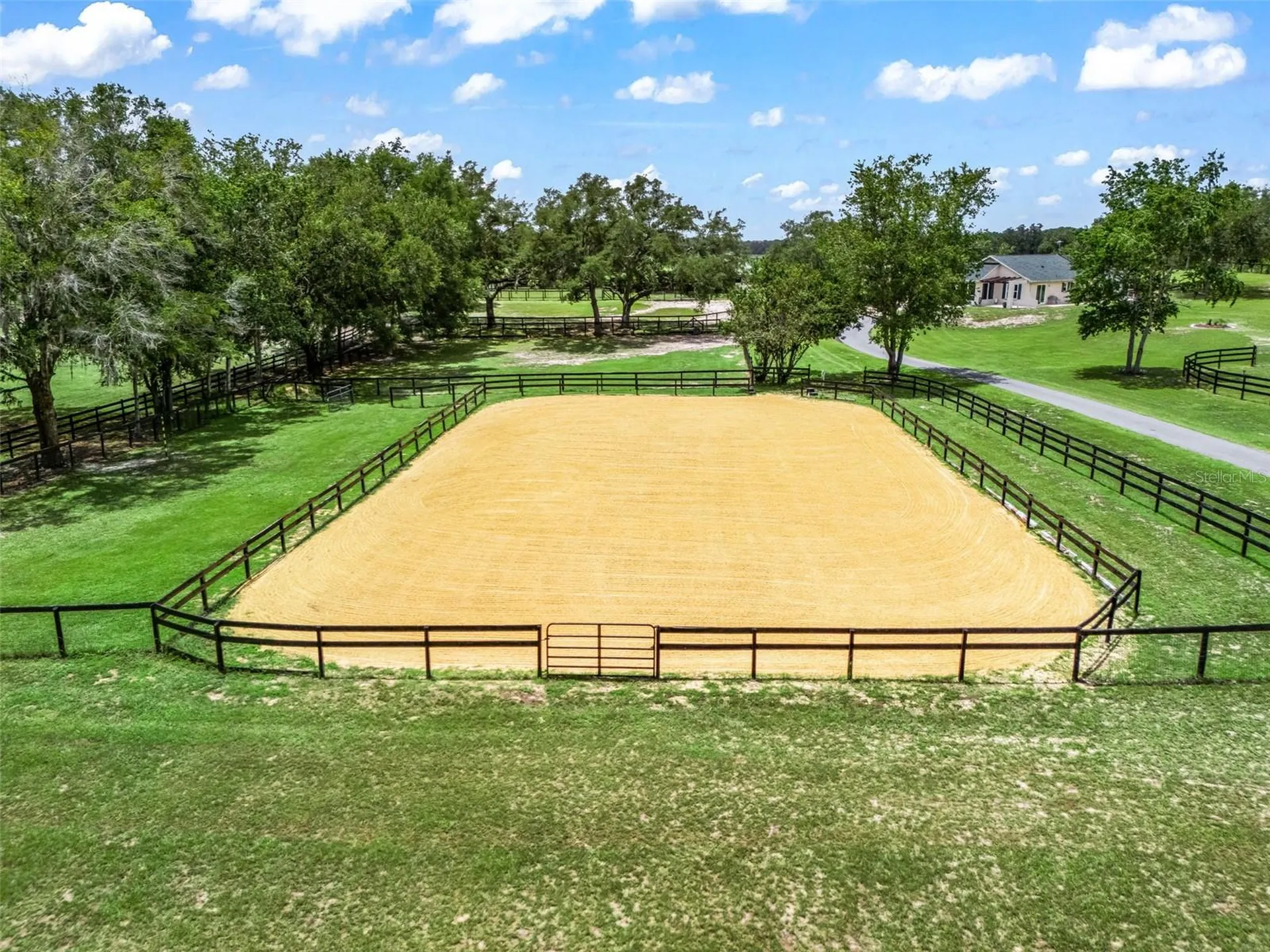 14356 SW 101st Lane Dunnellon FL 34432