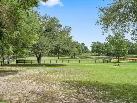 14356 SW 101st Lane Dunnellon FL 34432