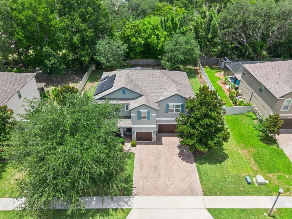 3169 Pinenut Drive Apopka FL 32712