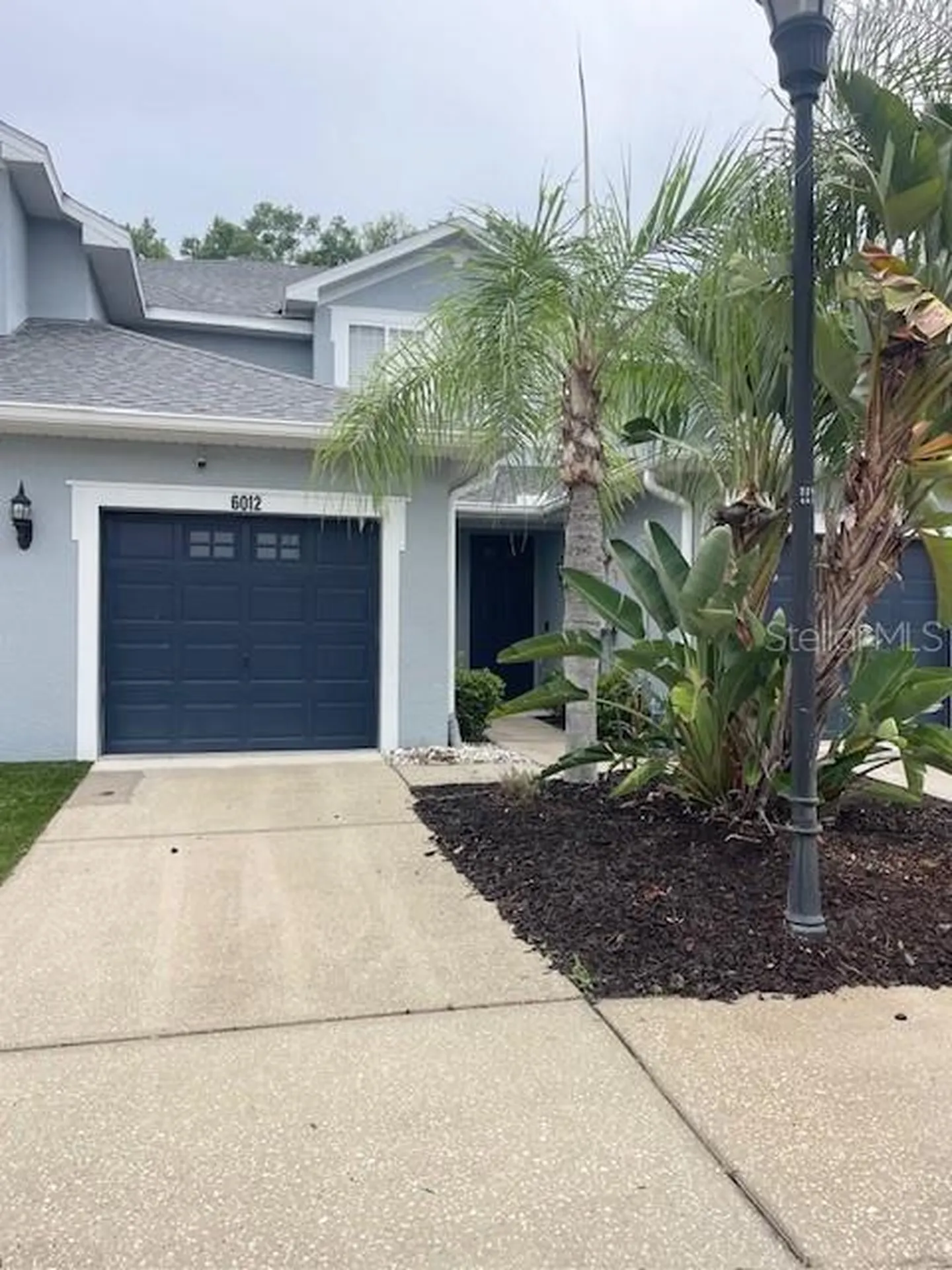 6012 Parkside Meadow Drive Tampa FL 33625