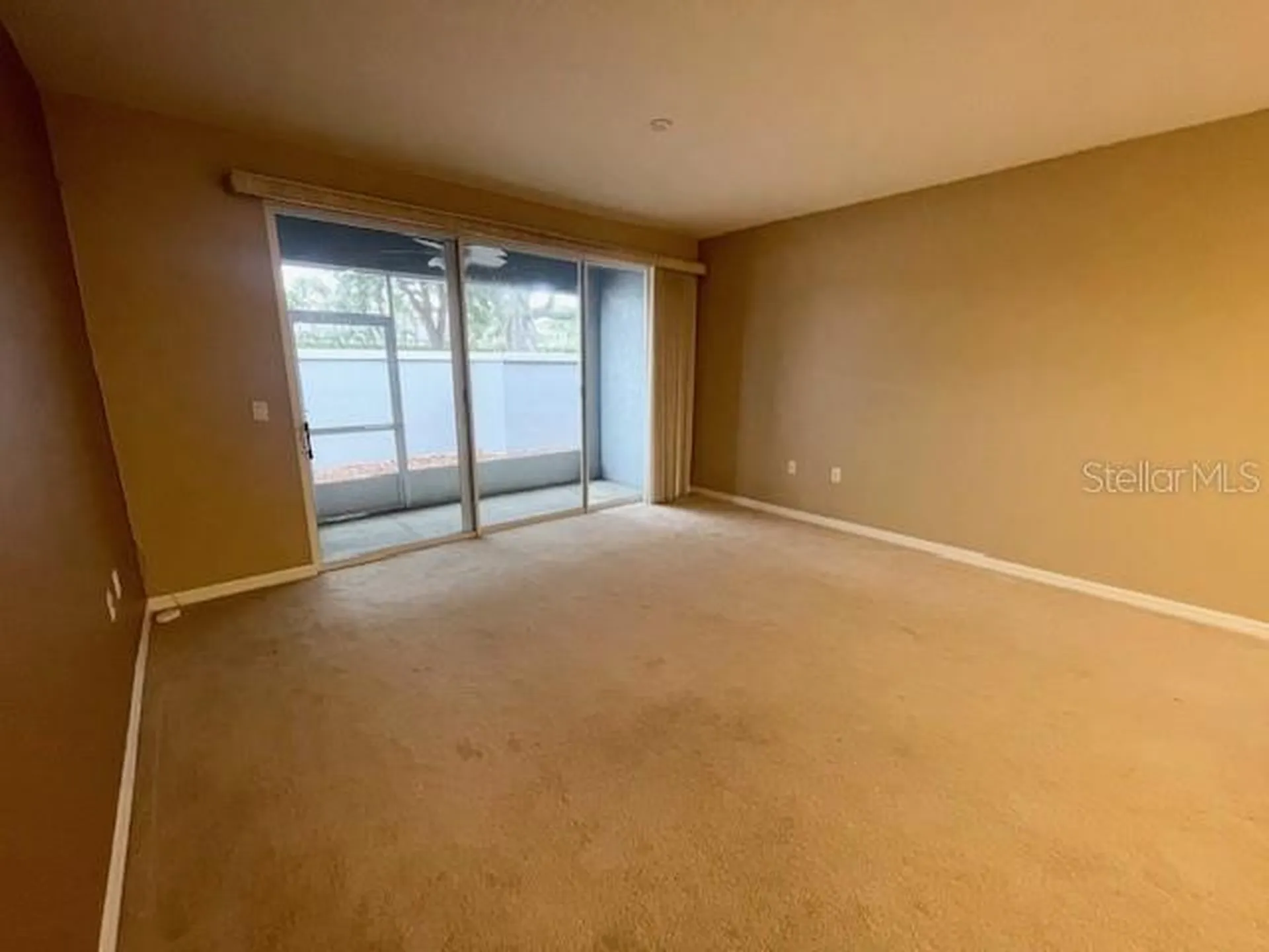 6012 Parkside Meadow Drive Tampa FL 33625