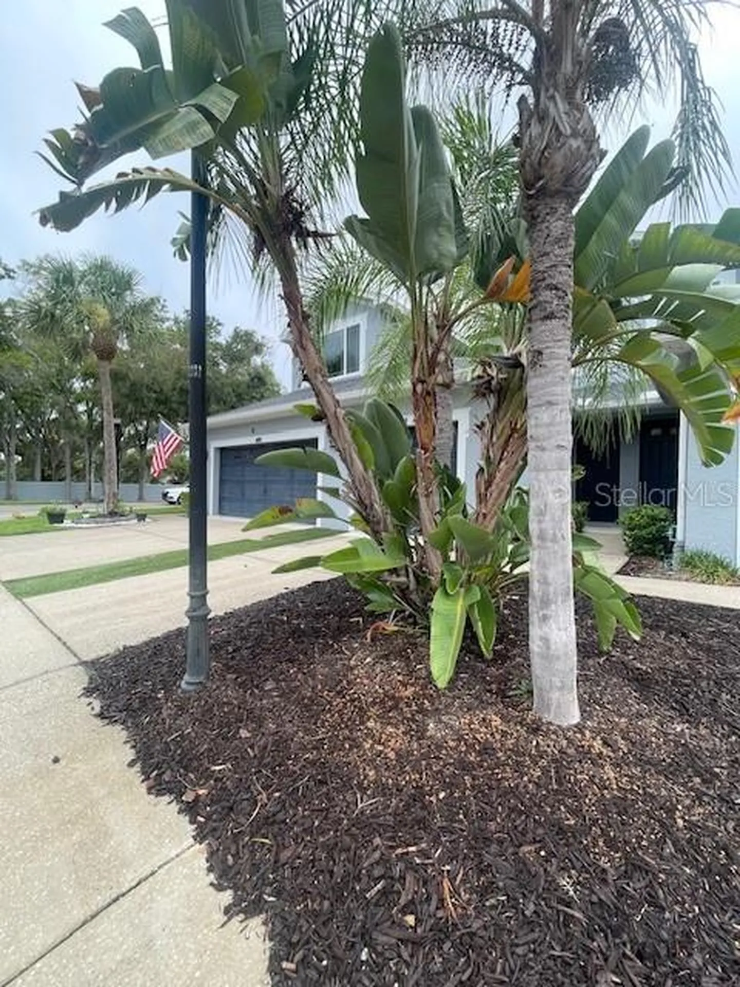 6012 Parkside Meadow Drive Tampa FL 33625