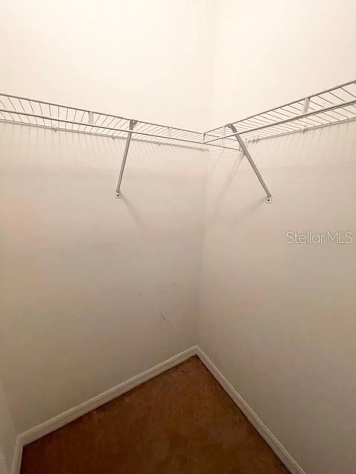 6012 Parkside Meadow Drive Tampa FL 33625