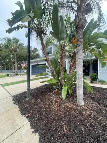 6012 Parkside Meadow Drive Tampa FL 33625