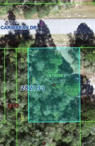 1220 Caribbean Drive Kissimmee FL 34759
