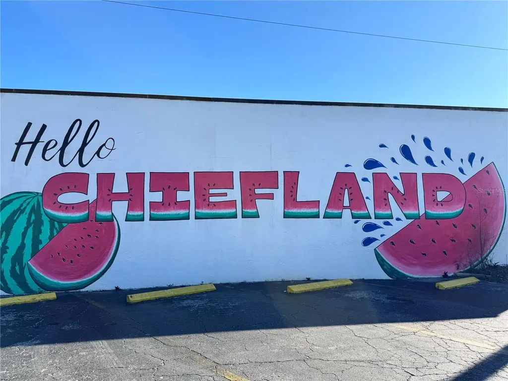 304 NE 1st Street Chiefland FL 32626