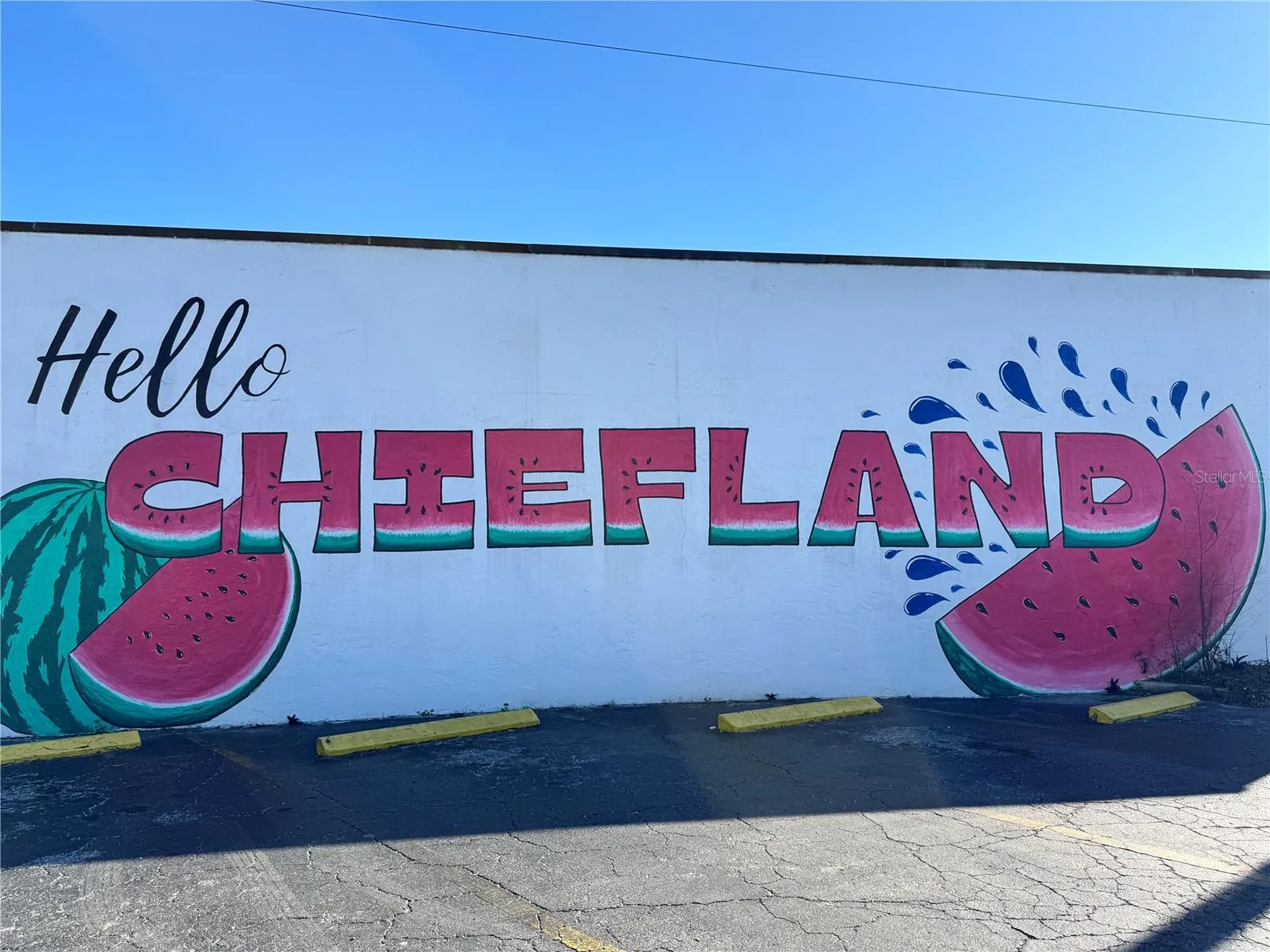 304 NE 1st Street Chiefland FL 32626