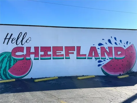 304 NE 1st Street Chiefland FL 32626
