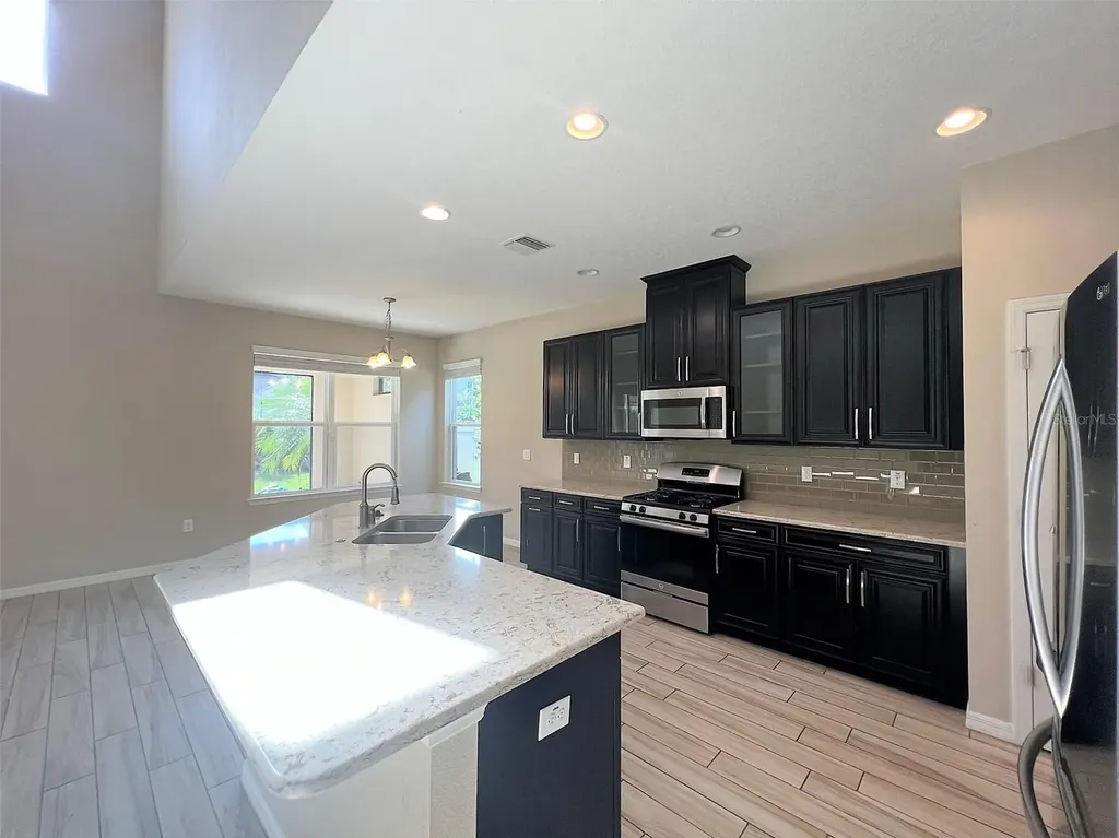 26992 Carolina Aster Drive Wesley Chapel FL 33544