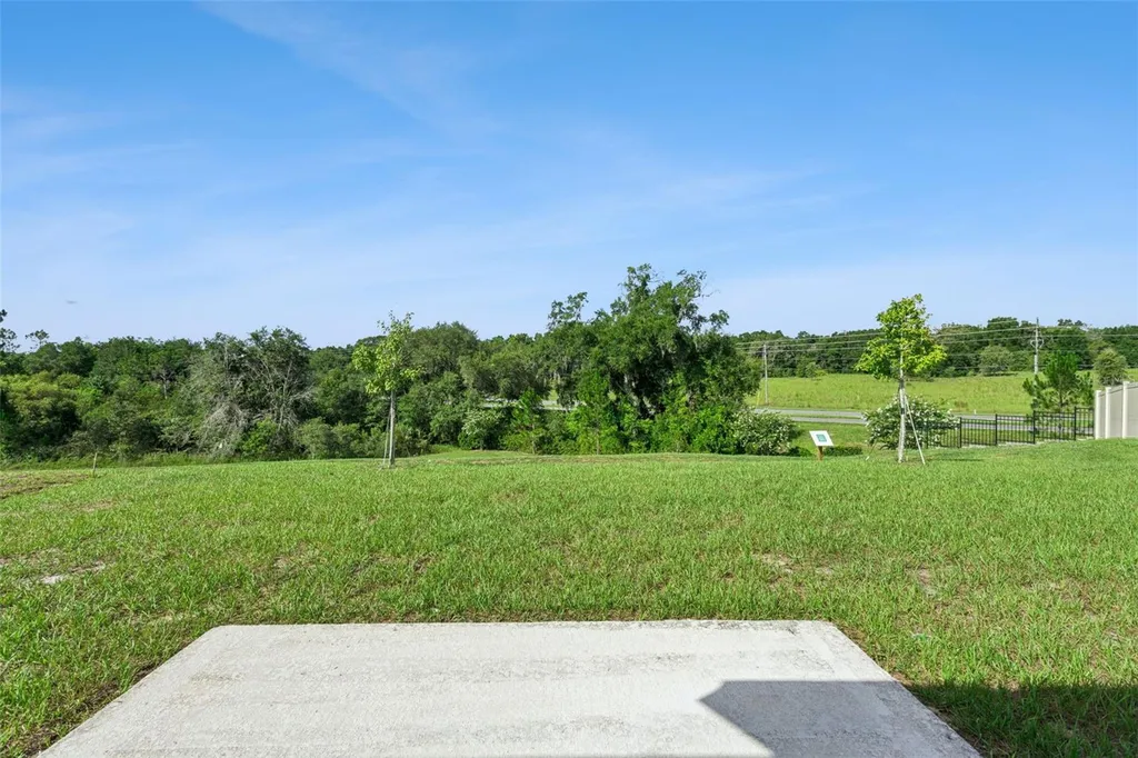 26180 Feathergrass Circle Leesburg FL 34748