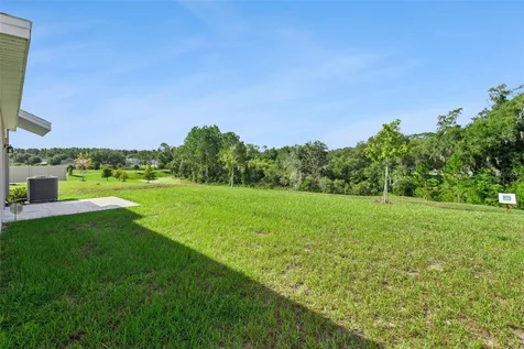 26180 Feathergrass Circle Leesburg FL 34748