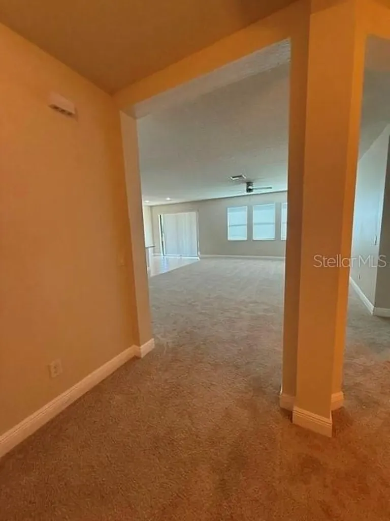2827 Shetland Ridge Drive Valrico FL 33596