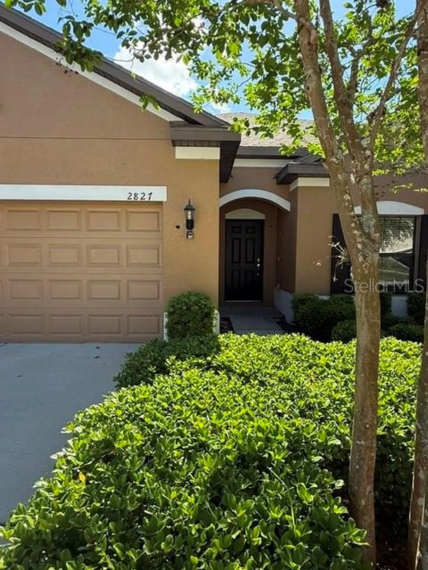2827 Shetland Ridge Drive Valrico FL 33596