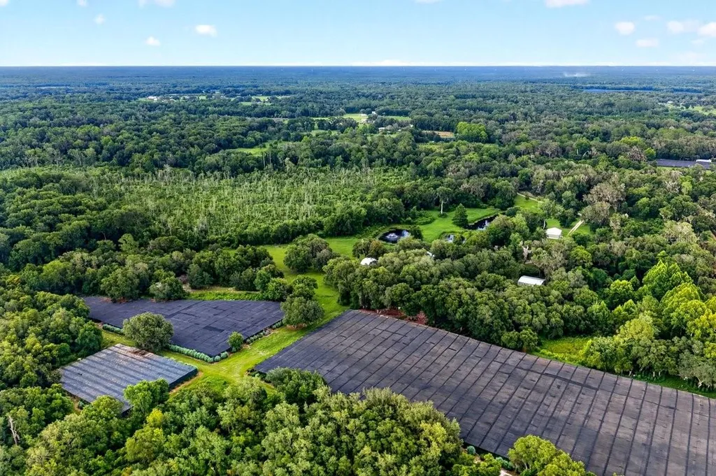 1980 Lake Hires Road De Leon Springs FL 32130