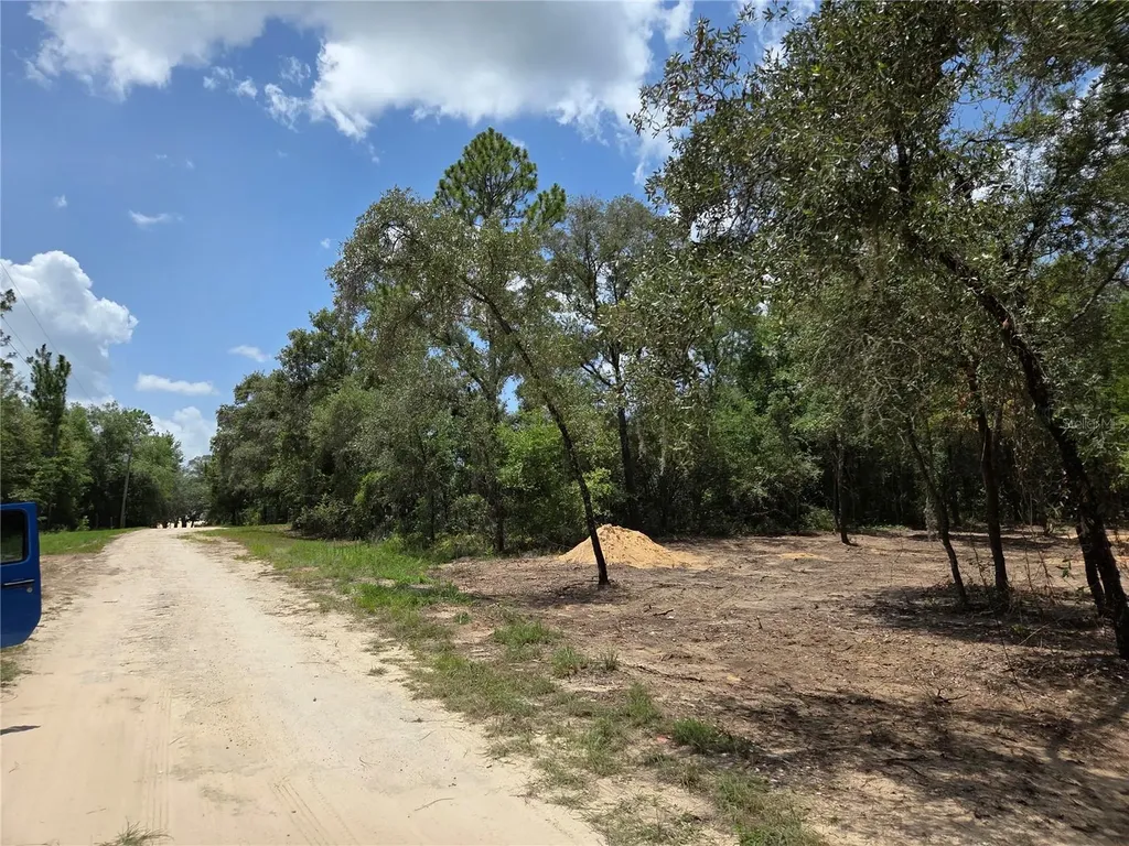 Tbd NE 122nd Avenue Williston FL 32696