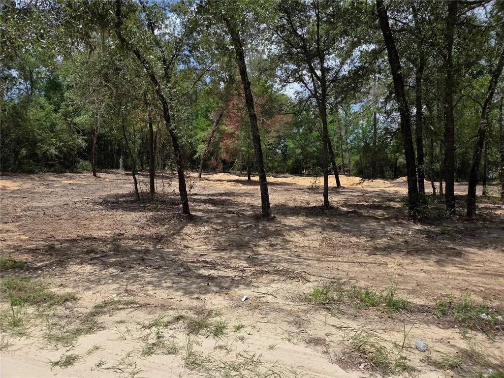 Tbd NE 122nd Avenue Williston FL 32696