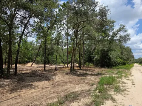 Tbd NE 122nd Avenue Williston FL 32696