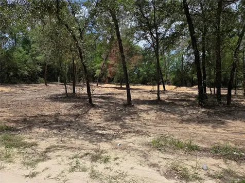 Tbd NE 122nd Avenue Williston FL 32696