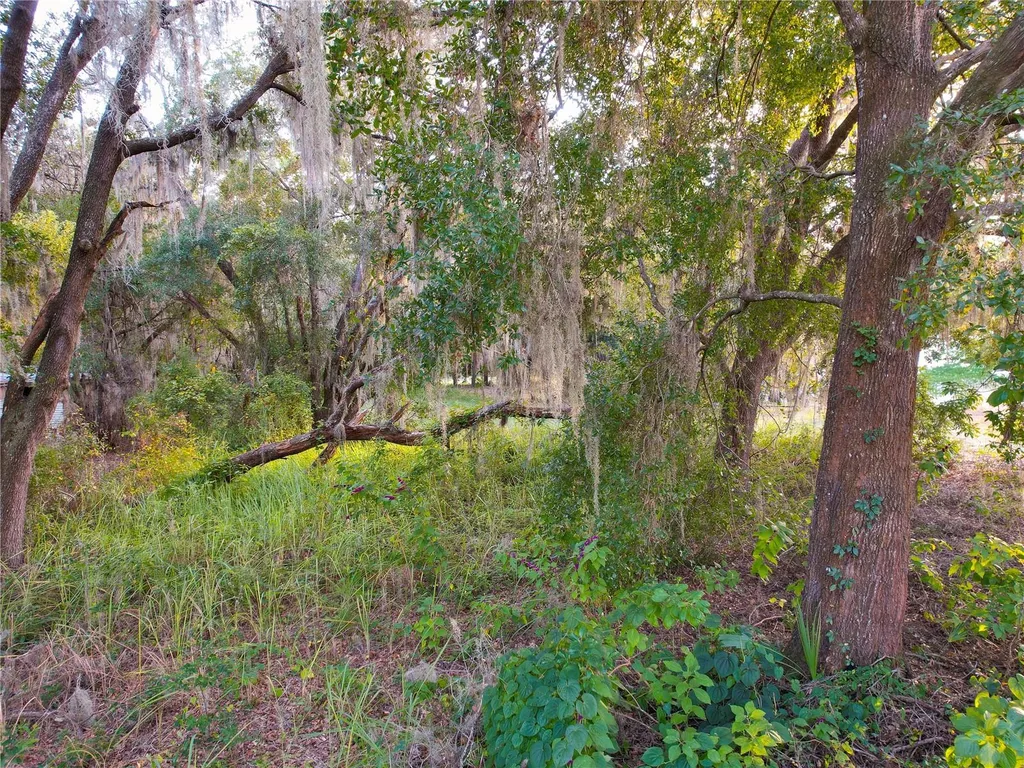 13724 Tennessee Avenue Astatula FL 34705
