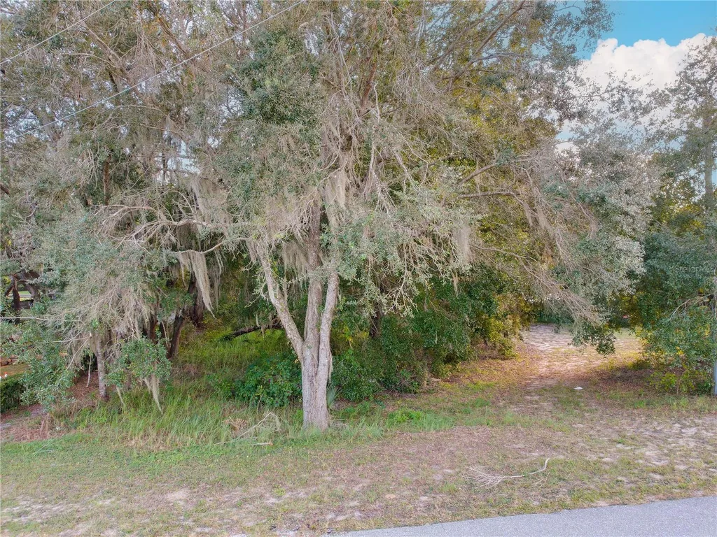 13724 Tennessee Avenue Astatula FL 34705